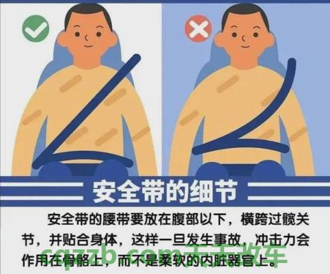 分享：安全带_什么是安全带  第2张