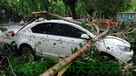 有用：台风天驾驶技巧_什么是台风天驾驶技巧  第14张