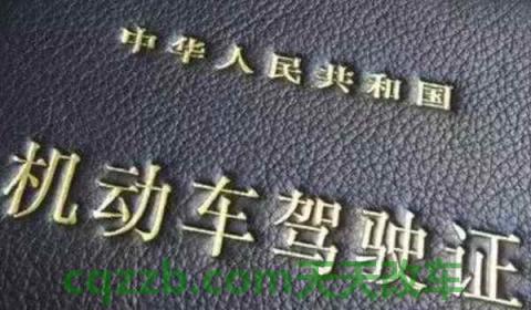 如何查询驾驶证状态(机动车驾驶证如何获得)  第2张