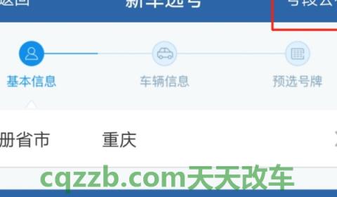 揭露：12123选号后几天上牌(交管12123选择号牌不使用影响大吗)  第3张