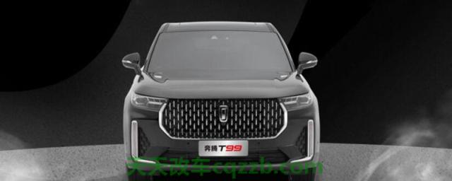 问题：奔腾t99是什么级别的(图)