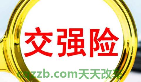 自己开车把车刮了怎么走保险(什么是交强险)  第4张