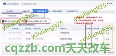 解答：车管所查询交通违章_交通业务办理  第3张