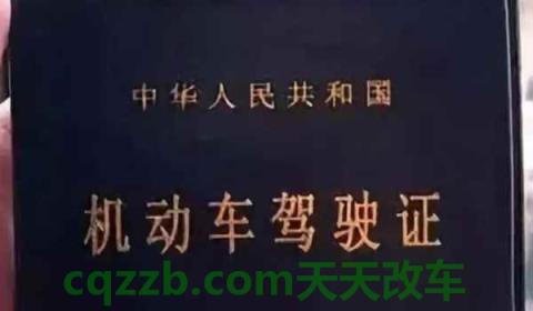 驾考考试成绩在哪里查看(机动车驾驶证考试之后成绩还重要吗)  第2张