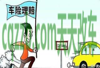 分享:汽车保险理赔怎么赔偿_交通问题 第3张