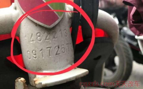 车辆整车编码在哪拍(整车编码位置规定)  第2张