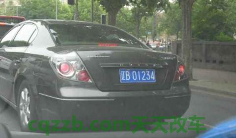 辽宁省车牌号字母代表(辽宁省车辆可以在其他地方使用)  第2张