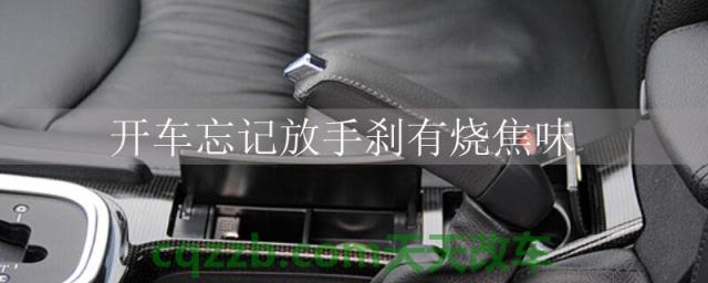 开车忘记放手刹有烧焦味()