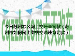 有关:交违章罚款需要带什么_交通问题 第2张