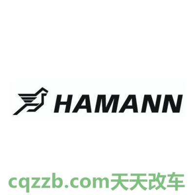 分享：HAMANN_什么是HAMANN  第2张