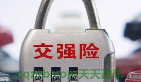 汽车脱保后再买保险麻烦不(什么是交强险)  第2张