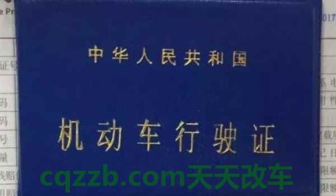 行驶证照片尺寸规格多大(机动车行驶证丢失在哪里补办)  第2张