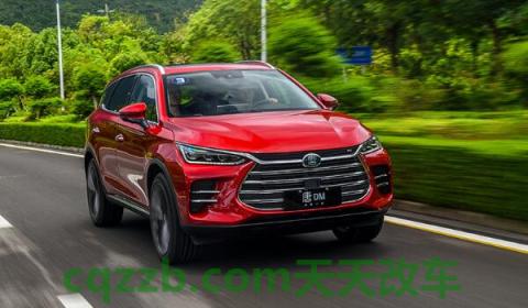 汽车dm是什么意思(什么是DM汽车)  第2张