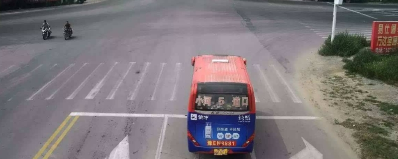 解读：闯红灯违章当天能查到吗(机动车辆闯红灯处罚如何处理)