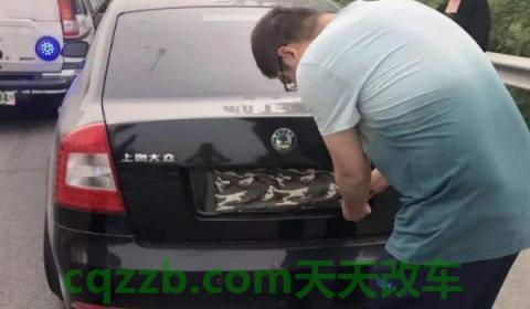 车牌号怎么用(机动车号牌在哪里补办)  第2张