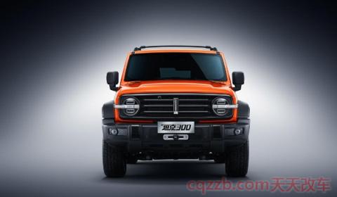 坦克300是哪个品牌(坦克300越野性能怎么样)  第2张