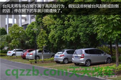 有用：台风天驾驶技巧_什么是台风天驾驶技巧  第3张