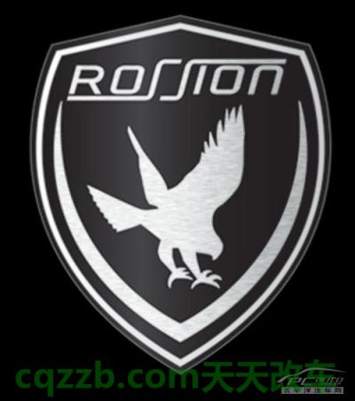 问题：Rossion_什么是Rossion  第1张