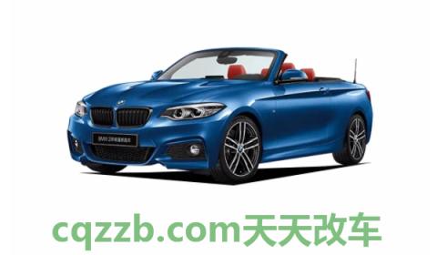 闲谈一下：bwm是什么车(BMW汽车旗下有哪些车型)  第2张