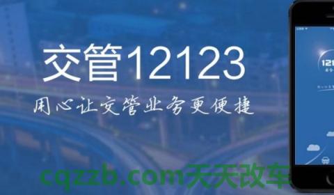12123非本人车申请免检标志(12123是什么)  第2张