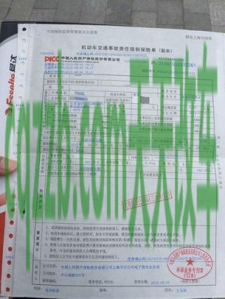 了解汽车：交强险保险责任_交通业务办理  第3张