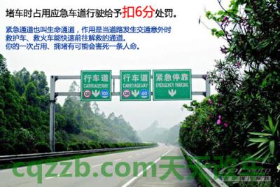 汽车知识：新交规违章扣分_什么是新交规违章扣分  第10张