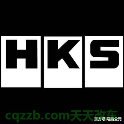 关于：HKS_什么是HKS  第3张