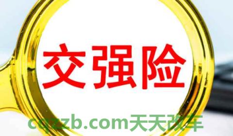查自己车的保险怎么查(交强险在哪里购买)  第3张