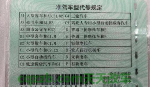 b2驾照可以开19座客车吗(B2机动车驾驶证扣12分会被降级吗)  第3张