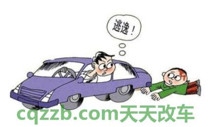 汽车疑问：交通肇事逃逸致人死亡_交通问题  第2张