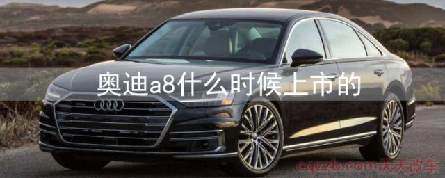 奥迪a8什么时候上市的()
