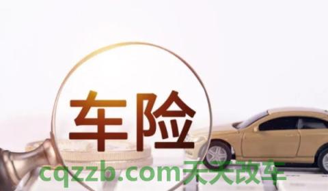 普及一下：车保险可以自己网上买吗(机动车辆保险可以提前多久购买)  第2张