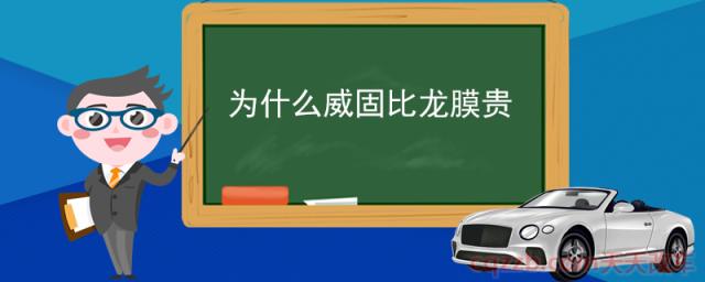 为什么威固比龙膜贵(威固比龙膜贵的两大原因)