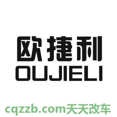 汽车有用：欧捷利_什么是欧捷利  第3张