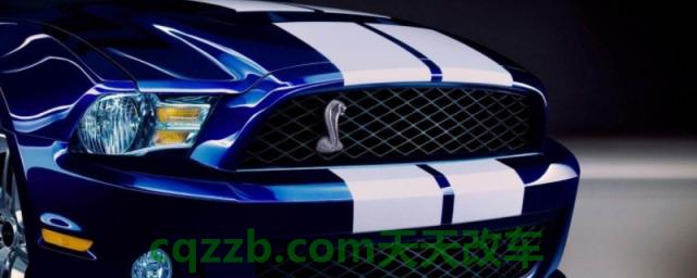 解惑一下：眼镜蛇是什么车(福特MUSTANG的底盘转向系统是什么)