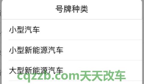 谈谈：网上自选号牌不满意还能现场选号吗(机动车辆号牌选择的顺序)  第2张