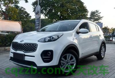 问题：起亚_什么是起亚  第4张