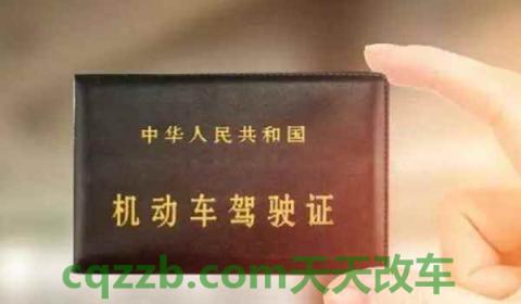 驾驶证只有1分怎么办(机动车驾驶证的有效分数)  第2张