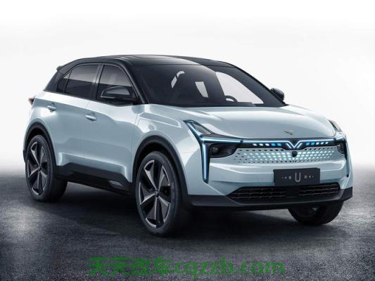 有关：neta是什么牌子汽车(图)  第4张