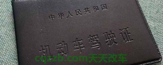 驾驶证补换领是什么意思(驾驶证如何获得) 第1张