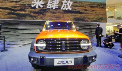 wey300是什么品牌车(wey300车辆的尺寸)  第3张