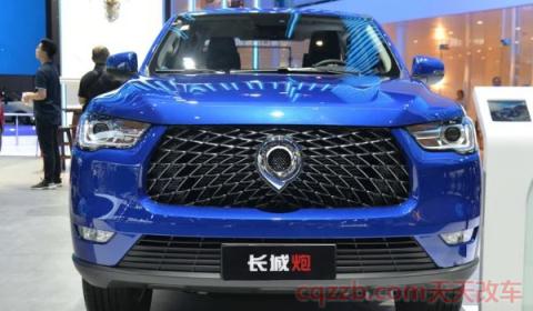 长城皮卡炮2020款上市了吗(长城皮卡炮现款车辆价格)  第2张