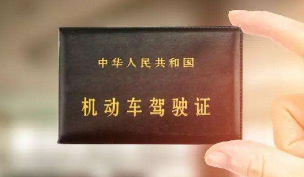 驾驶证证件照什么底色(机动车驾驶证更换时间)  第2张