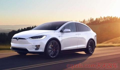 国产特斯拉电池供应商是谁(特斯拉车辆suv车辆有几款) 第2张