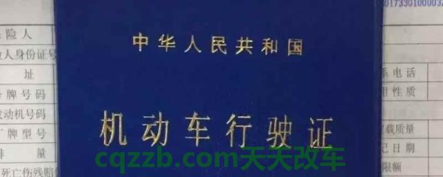 新车上完牌有哪些证件给车主(新车购买之后可以做哪些装饰)