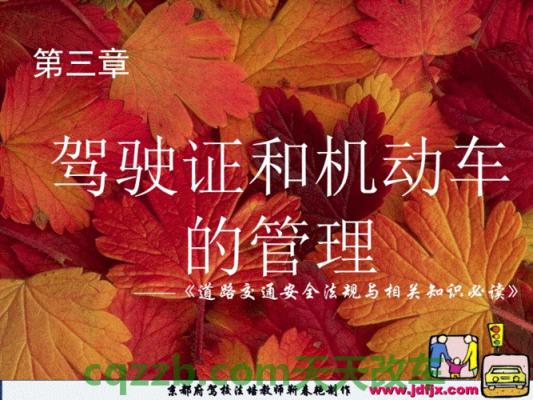 解答汽车：驾照知识_什么是驾照知识  第3张