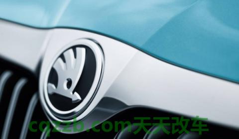 斯柯达明锐保养灯手动归零(斯柯达品牌成立时间)  第3张