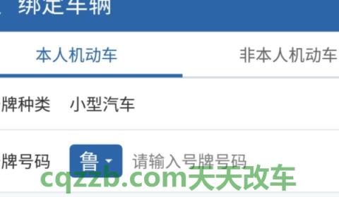 详谈一下:新车上牌后多久能在12123上备案(违章违法行为可以不处理吗) 第2张