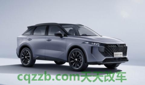 详谈：启辰大V是哪国发动机(启辰大V的底盘转向系统是什么)  第2张