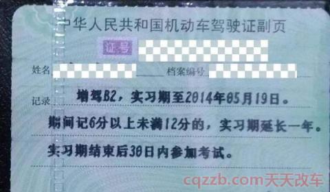 驾驶证外壳可以随便换吗(正副本的内容)  第2张